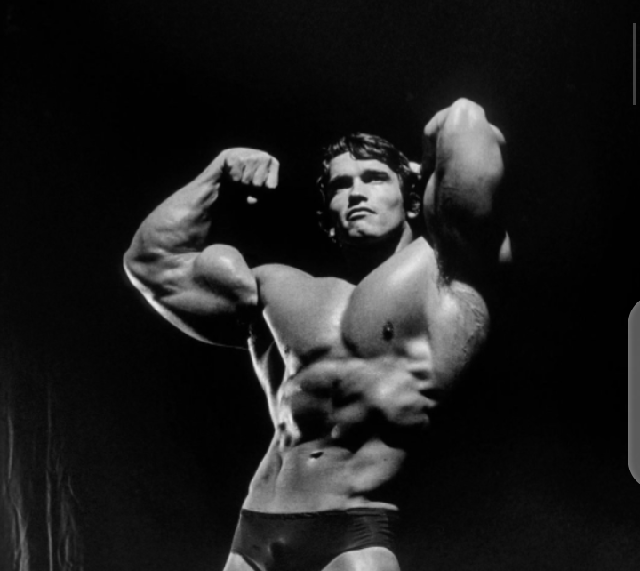 Arnold Schwarzenegger Who Flaunted 4 Pack Abs in His Prime, Revealed His...